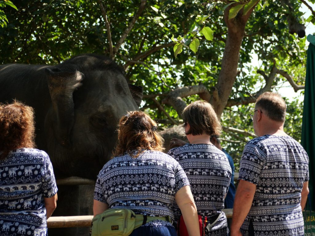 Koh Yao Island Safari — act-1