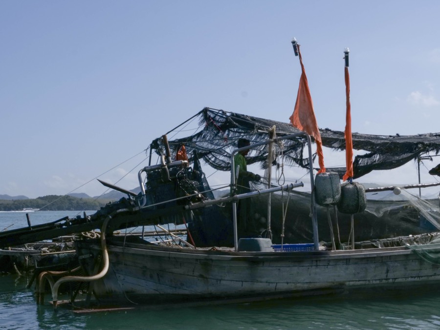 Koh Yao Island Safari — ele-3