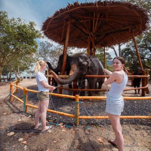 Program B — Elephant Swim